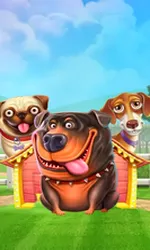 The Dog House