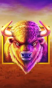 Buffalo King